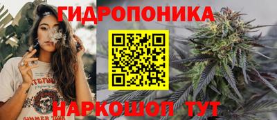 spice Лесосибирск
