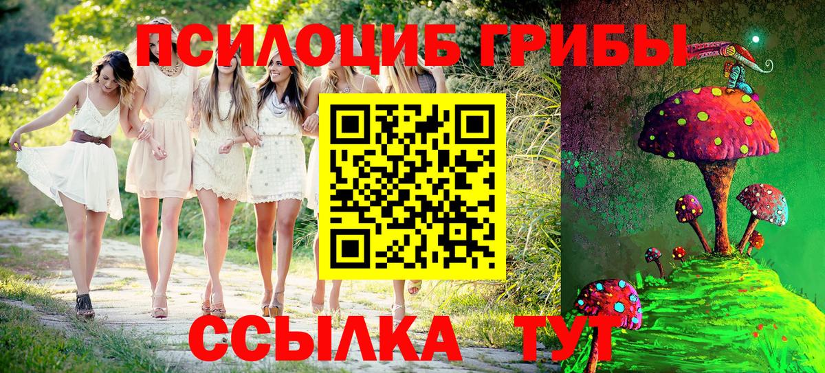 где продают   Псилоцибиновые грибы Cubensis  Дербент  Вход с VPN  Псилоцибиновые грибы Cubensis 